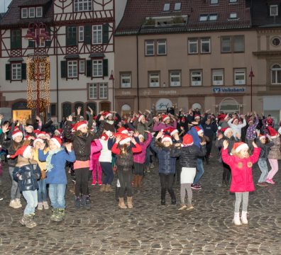 DanceFit_Flashmob_2015_Q78A3311